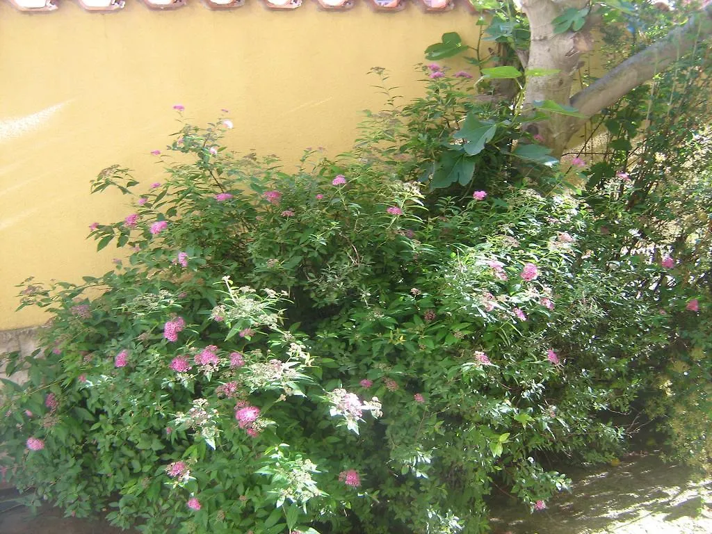 Jacqueline Apartment Pula
